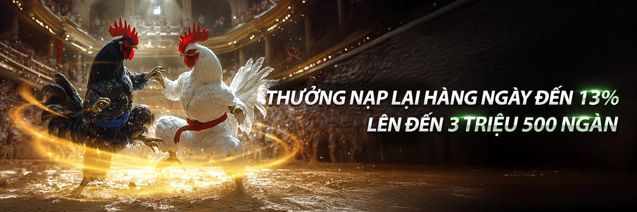 Đá gà kịch tính tại Kubet79 nổ hũ